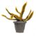 KidsDepot Plant - Sanseveria Yellow