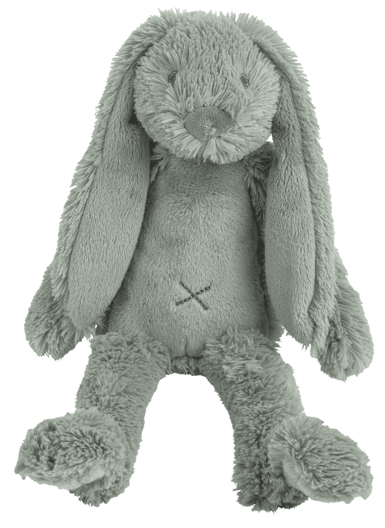 Verzadigen Immigratie verwijzen Happy Horse Tiny Rabbit Richie - 28 cm. online kopen - Baby Plus -  Babywinkel